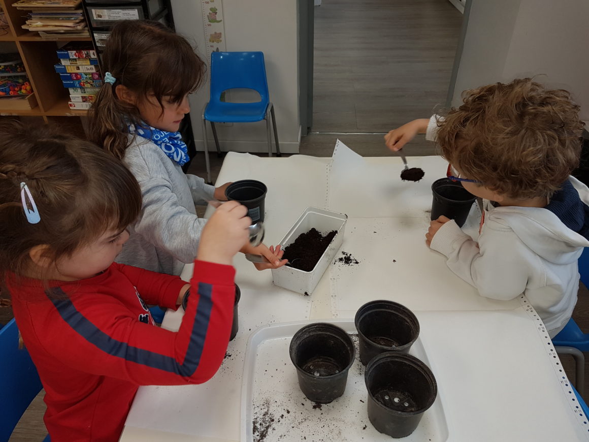 Séance jardinage dans la classe de Mme Veillard