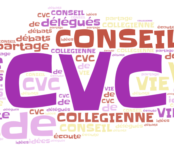 Election du conseil de vie collégienne (CVC)